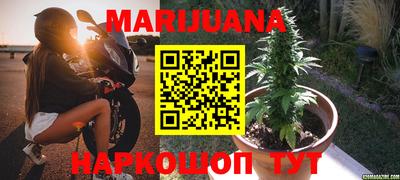 прущие крисы Гай