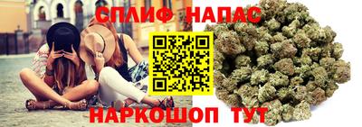 прущие крисы Гай