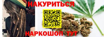 прущие крисы Гай