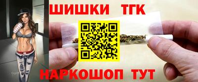 индика Гагарин