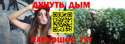 индика Гагарин