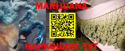 индика Гагарин