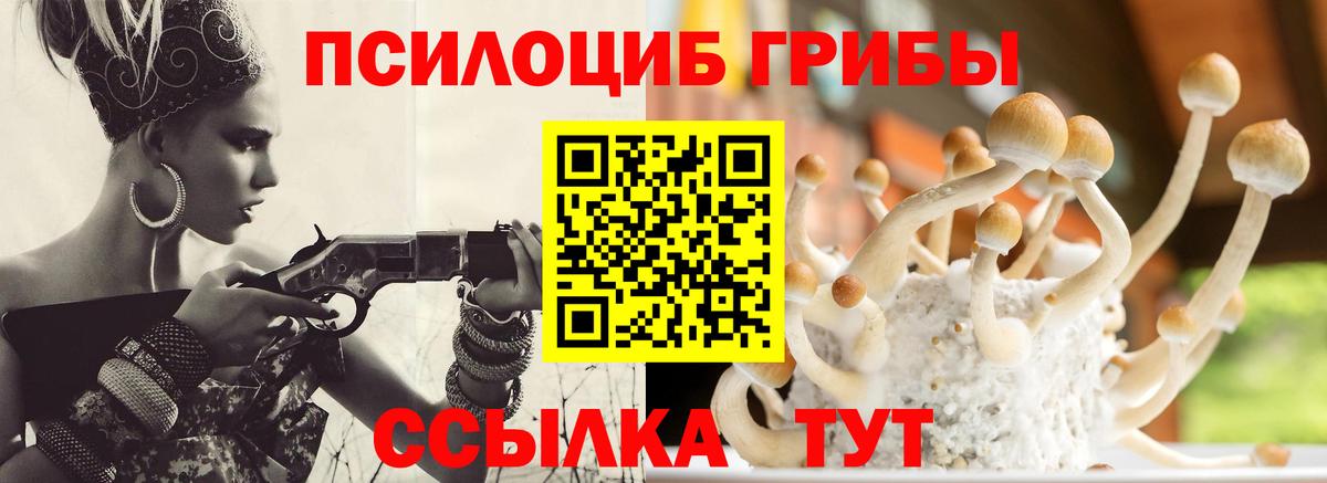 Галлюциногенные грибы ЛСД Мариинск